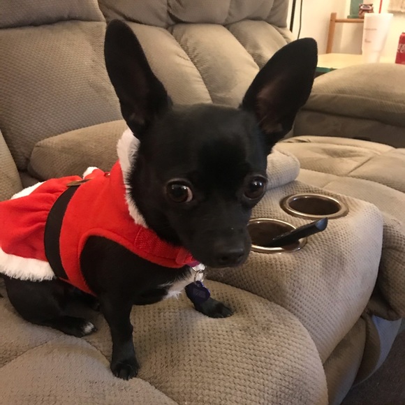 Meet your Posher, Amy - Picture 3 of 3